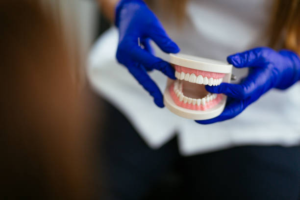 Best Veneers and Lumineers  in Altamonte Springs, FL